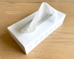 ティッシュ